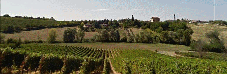 Azienda Agricola Cav. Musso Aurelio — foto 2